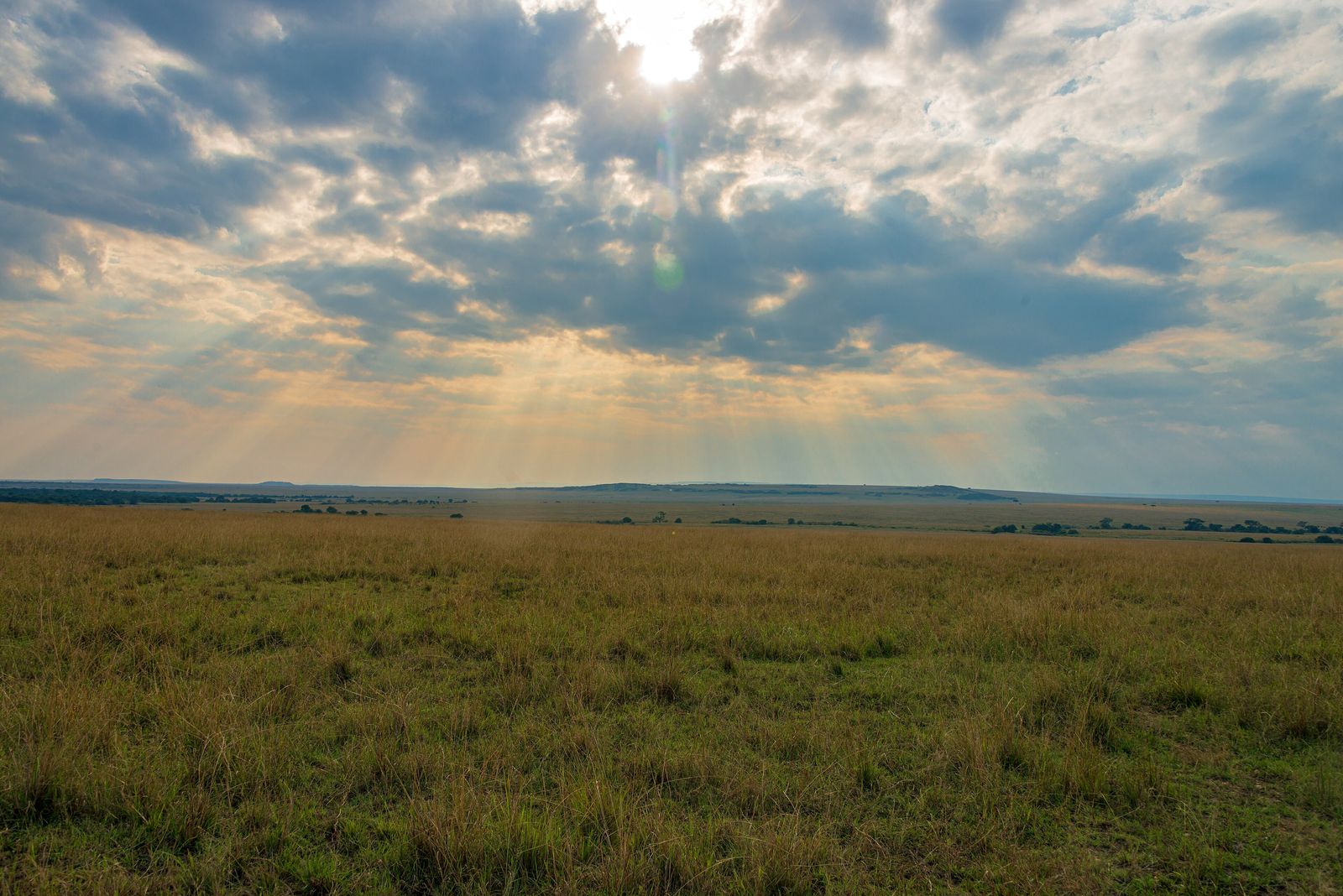 Sunbeams breaking through cloud over the open savannah of the Maasai Mara, Kenya